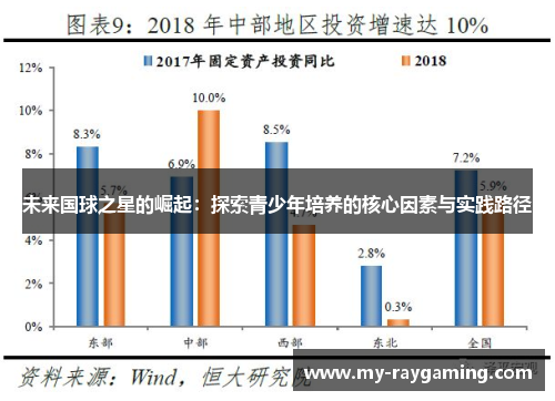 未来国球之星的崛起：探索青少年培养的核心因素与实践路径
