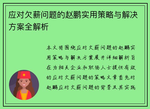 应对欠薪问题的赵鹏实用策略与解决方案全解析