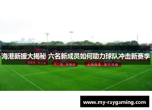 海港新援大揭秘 六名新成员如何助力球队冲击新赛季