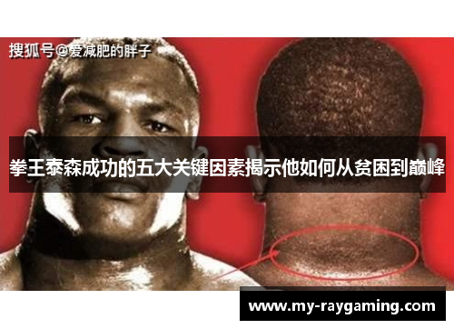 拳王泰森成功的五大关键因素揭示他如何从贫困到巅峰