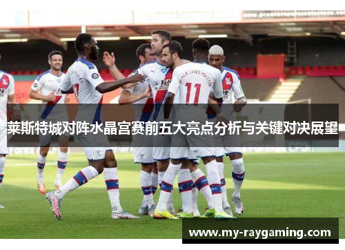 莱斯特城对阵水晶宫赛前五大亮点分析与关键对决展望